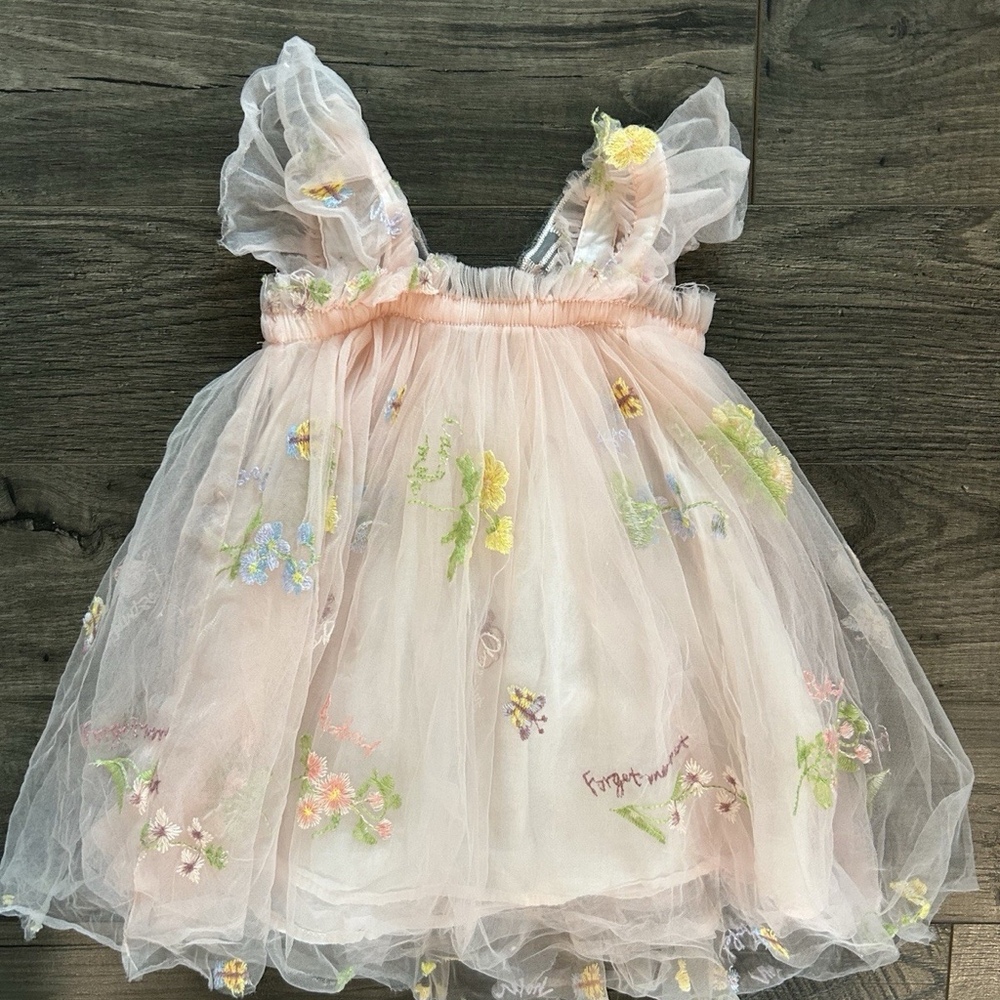 Girls Pink Fairy Butterfly Wing Tulle Dress Embroidered Floral  2 T